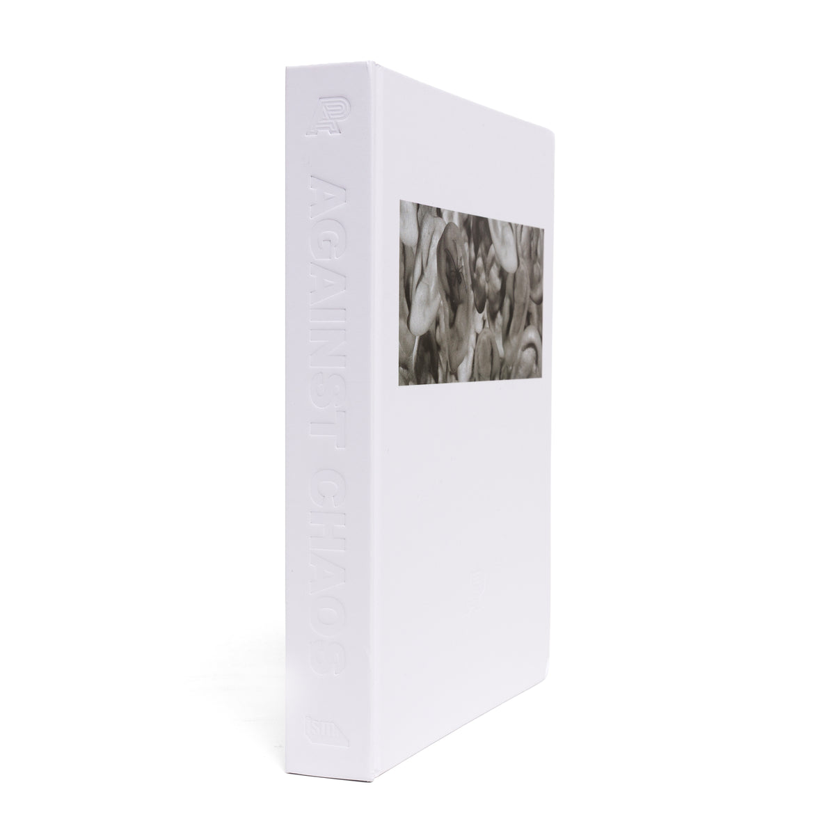 A&P AGAINST CHAOS BOOK